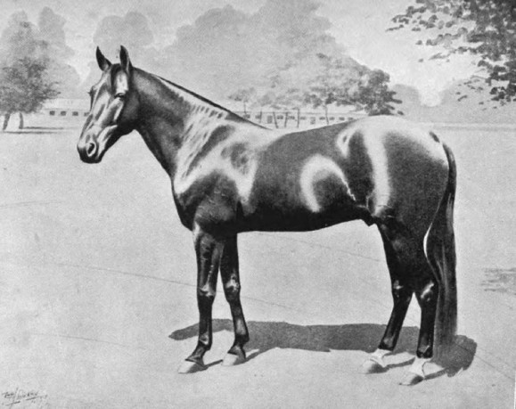 Electioneer, from Horse of America by Wallace 1897